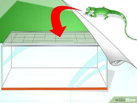 Imagen titulada Care for Your Lizard Step 1