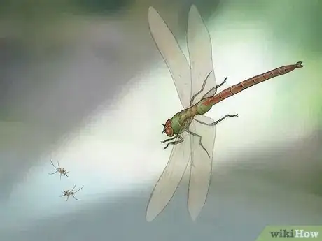 Imagen titulada Prevent Mosquitoes from Breeding Step 15