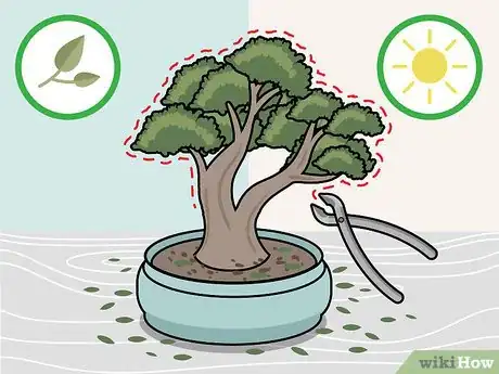Imagen titulada Prune a Bonsai Tree Step 4