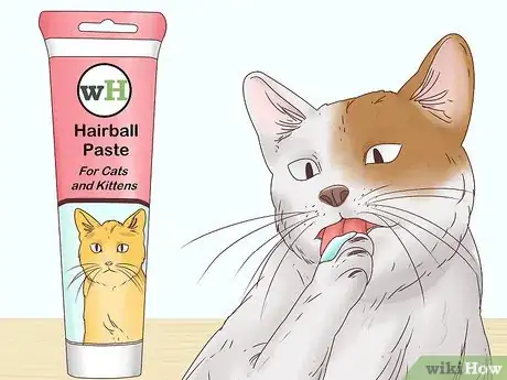 Imagen titulada Help a Cat Cough Up a Hairball Step 1