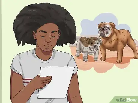 Imagen titulada Calculate Dog Years Step 1