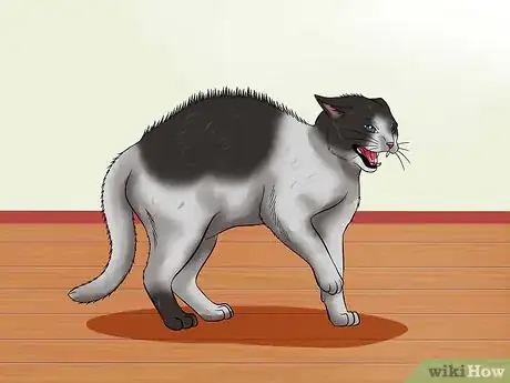 Imagen titulada Pet a High Strung Cat Step 6