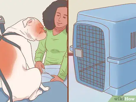 Imagen titulada Travel by Car with Your Dog Step 1