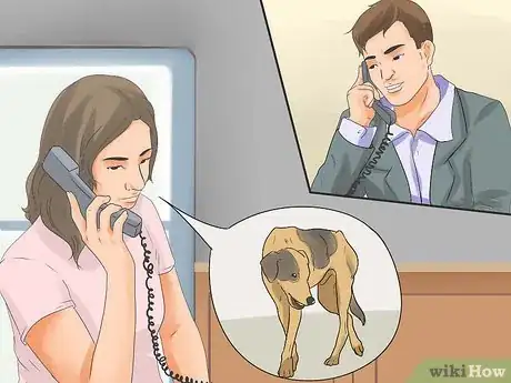 Imagen titulada Catch a Stray Dog Step 7
