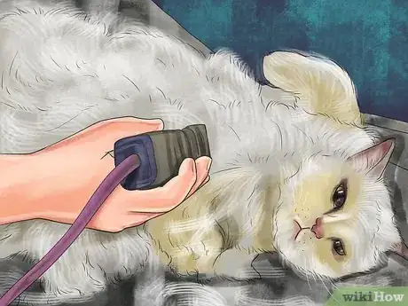 Imagen titulada Retrain a Cat to Use the Litter Box Step 14