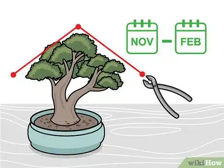 Imagen titulada Prune a Bonsai Tree Step 5