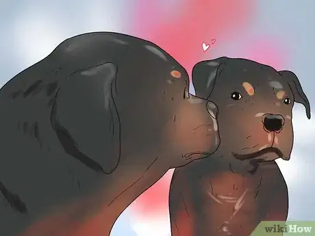 Imagen titulada Get Dogs to Mate Step 18