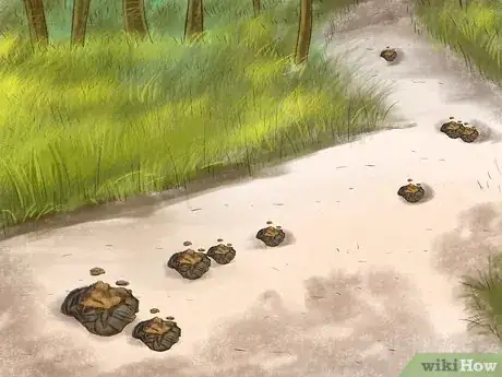 Imagen titulada Deal With a Hippo Encounter Step 7