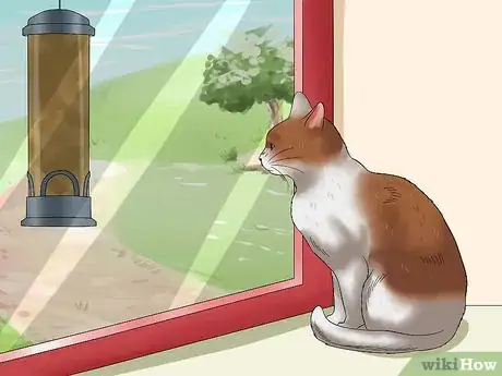 Imagen titulada Help Cats to Sleep at Bedtime Step 6