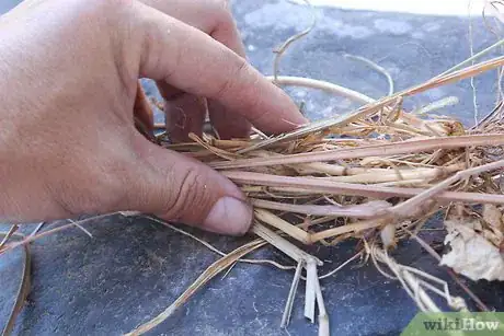 Imagen titulada Make Fire Without Matches or a Lighter Step 3