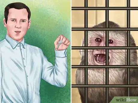 Imagen titulada Dominate a Capuchin Monkey Step 7