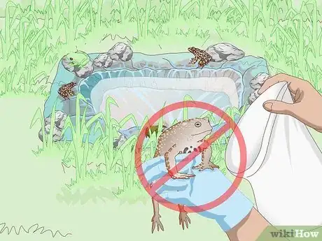 Imagen titulada Attract Frogs Step 14