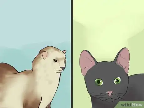 Imagen titulada Keep Ferrets in a Home with Other Pets Step 11