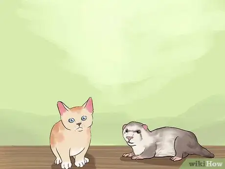 Imagen titulada Keep Ferrets in a Home with Other Pets Step 16