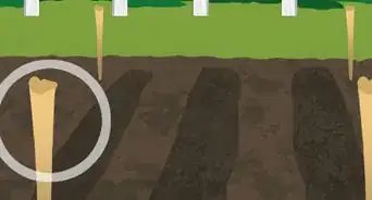 amarrar las plantas de tomate para levantarlas
