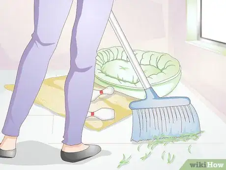 Imagen titulada Keep a Rabbit Clean Step 15