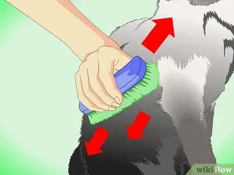 Imagen titulada Get Rid of Dry Skin on Cats Step 9