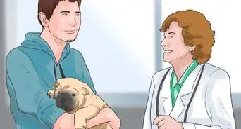 saber si tu perro tiene parvovirus