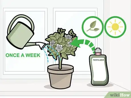 Imagen titulada Care for Gardenias Step 15