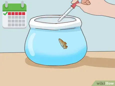 Imagen titulada Make Infusoria Step 8