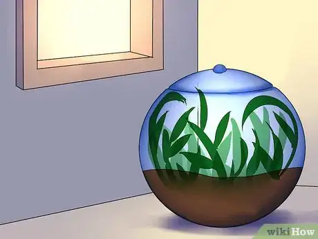 Imagen titulada Build a Self Sustaining Ecosystem Step 17