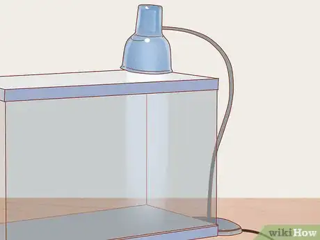 Imagen titulada Care for a House Gecko Step 2