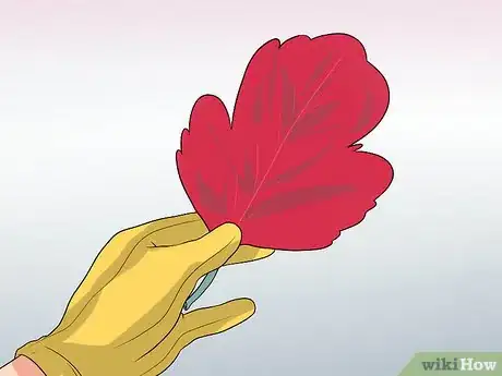 Imagen titulada Identify Poison Oak Step 4