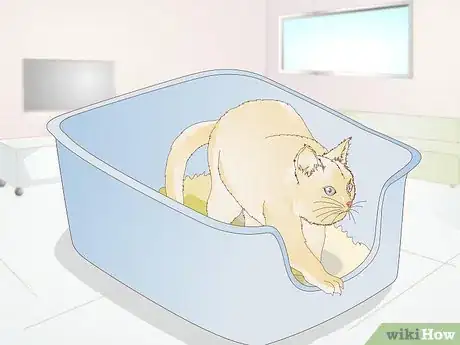 Imagen titulada Keep a Cat from Kicking the Litter out of the Litterbox Step 6