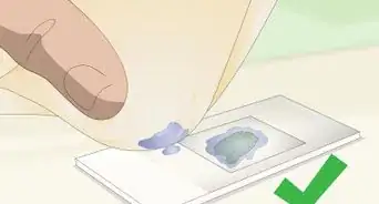 preparar un portaobjetos para microscopio