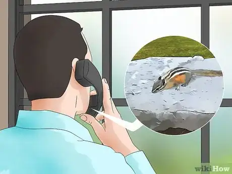 Imagen titulada Get Rid of Chipmunks Step 17