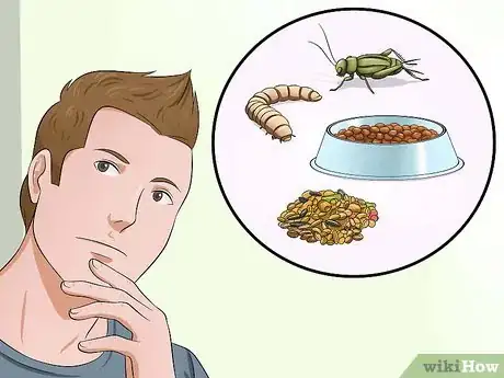Imagen titulada Make Emergency Baby Bird Food Step 1