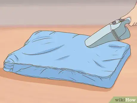 Imagen titulada Get Rid of Sandfleas Step 10