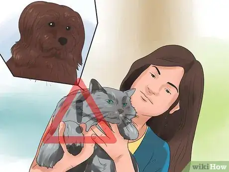 Imagen titulada Get Your Cat to Stop Hissing Step 10