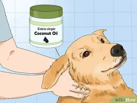 Imagen titulada Use Coconut Oil for Flea and Skin Treatment on Dogs Step 8