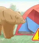 armar una carpa