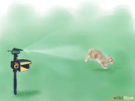 Imagen titulada Get Rid of Rabbits Step 7