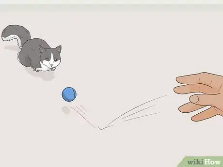 Imagen titulada Know if Your Cat Is Still a Kitten Step 6