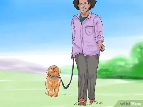 Imagen titulada Train a Golden Retriever Puppy Step 22