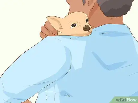 Imagen titulada Save a Newborn Puppy with a Cleft Palate Step 11