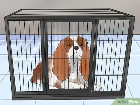 Imagen titulada Train Cavalier King Charles Spaniels Step 6