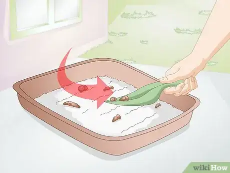 Imagen titulada Keep a Cat from Kicking the Litter out of the Litterbox Step 1