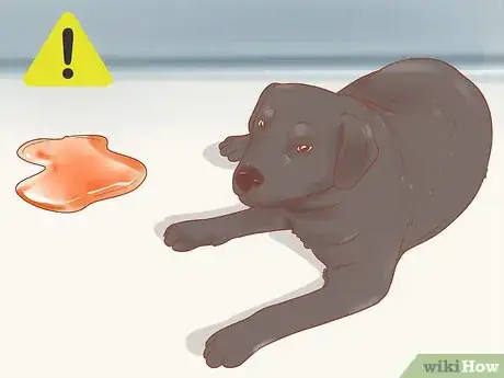Imagen titulada Know When Your Dog is Sick Step 13