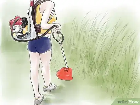 Imagen titulada Get Rid of Rabbits Step 1