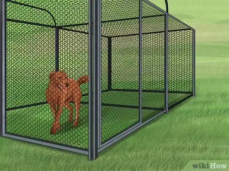 Imagen titulada Treat a Dog for Rabies Step 9