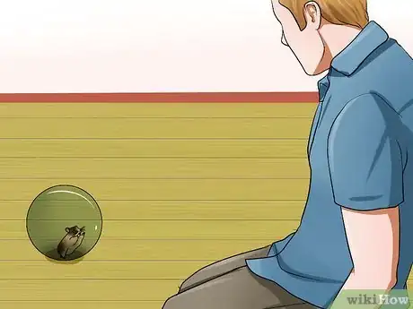 Imagen titulada Care for Your Shocked Hamster Step 6