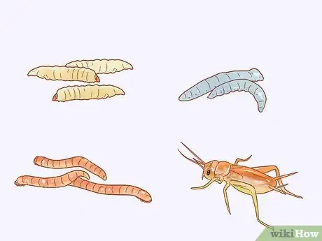 Imagen titulada Care for a House Gecko Step 7