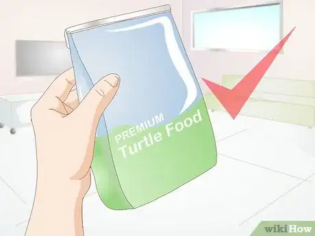 Imagen titulada Feed a Baby Turtle Step 9