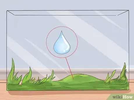 Imagen titulada Take Care of a Land Turtle Step 12