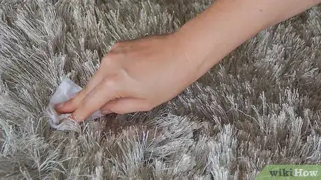 Imagen titulada Clean a Shag Rug Step 10