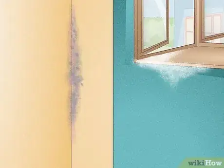 Imagen titulada Remove Mold and Mildew Step 1